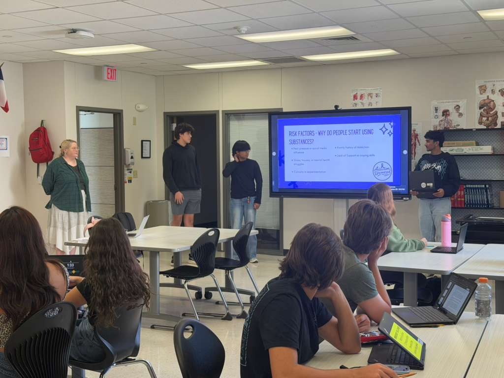 School Peer Lesson